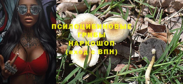 мескалин Горнозаводск
